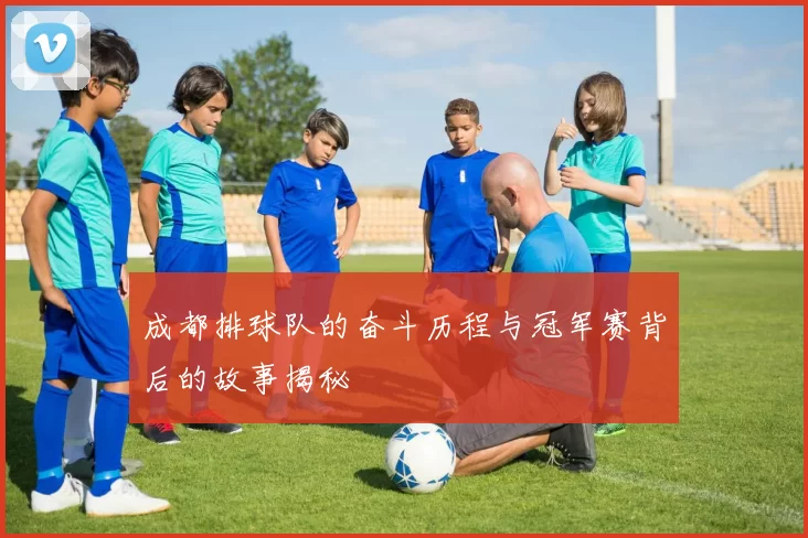 成都排球队的奋斗历程与冠军赛背后的故事揭秘