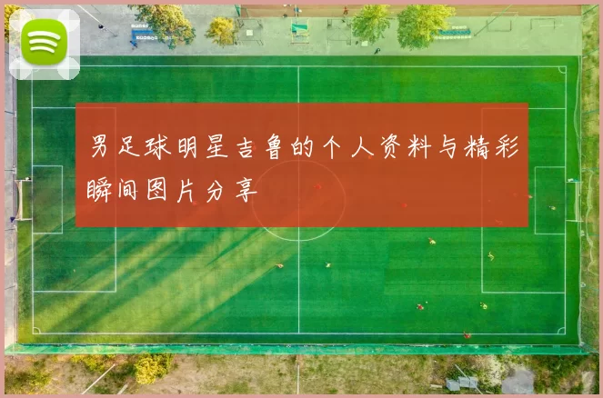 男足球明星吉鲁的个人资料与精彩瞬间图片分享