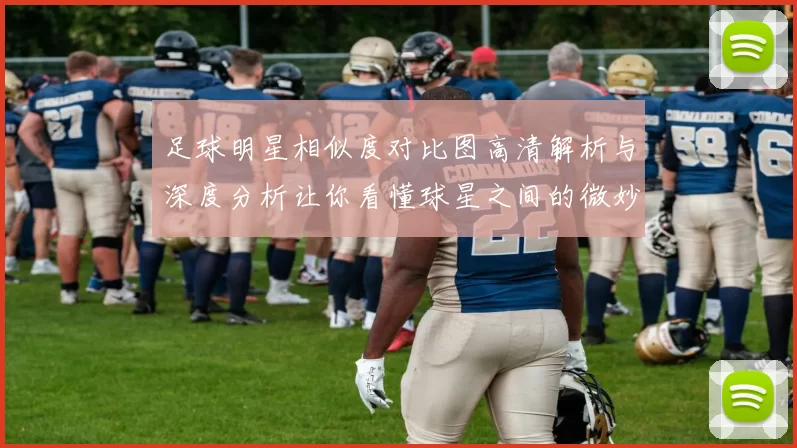 足球明星相似度对比图高清解析与深度分析让你看懂球星之间的微妙关系