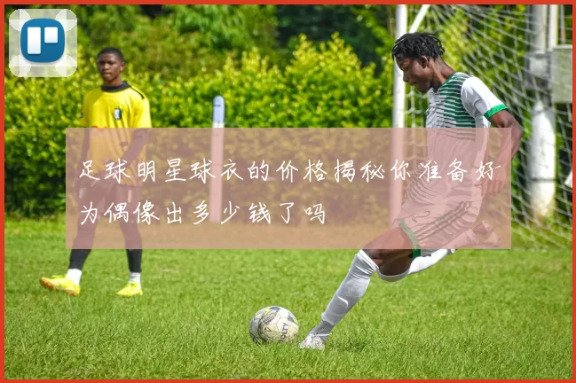 足球明星球衣的价格揭秘你准备好为偶像出多少钱了吗
