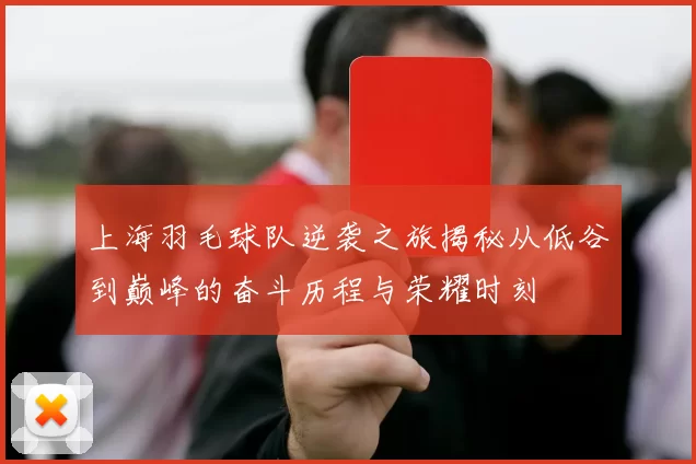 上海羽毛球队逆袭之旅揭秘从低谷到巅峰的奋斗历程与荣耀时刻