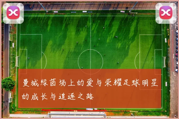 曼城绿茵场上的爱与荣耀足球明星的成长与追逐之路