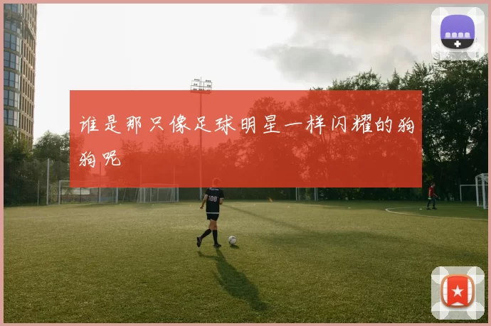 谁是那只像足球明星一样闪耀的狗狗呢