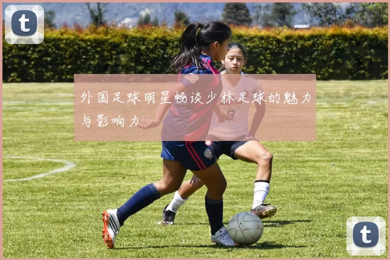 外国足球明星畅谈少林足球的魅力与影响力