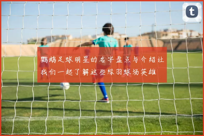 鹦鹉足球明星的名字盘点与介绍让我们一起了解这些绿羽球场英雄
