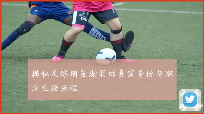 揭秘足球明星谢羽的真实身份与职业生涯历程